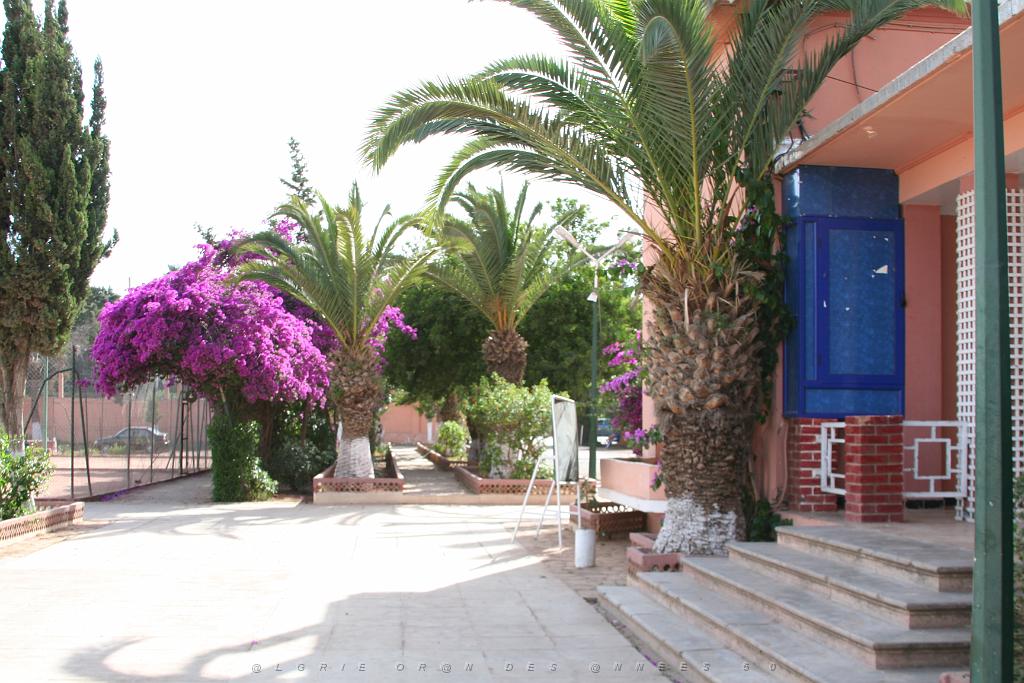 ORAN 2006 LAWN TENNIS CLUB D ORAN.jpg